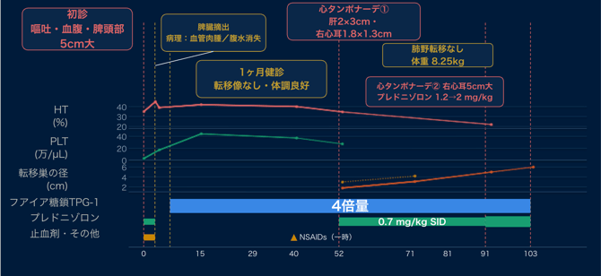スクリーンショット 2026-09-01 11.06.34