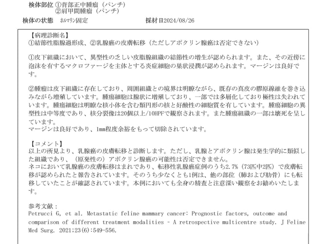 セラピスト猫皮膚転移MGT_trim