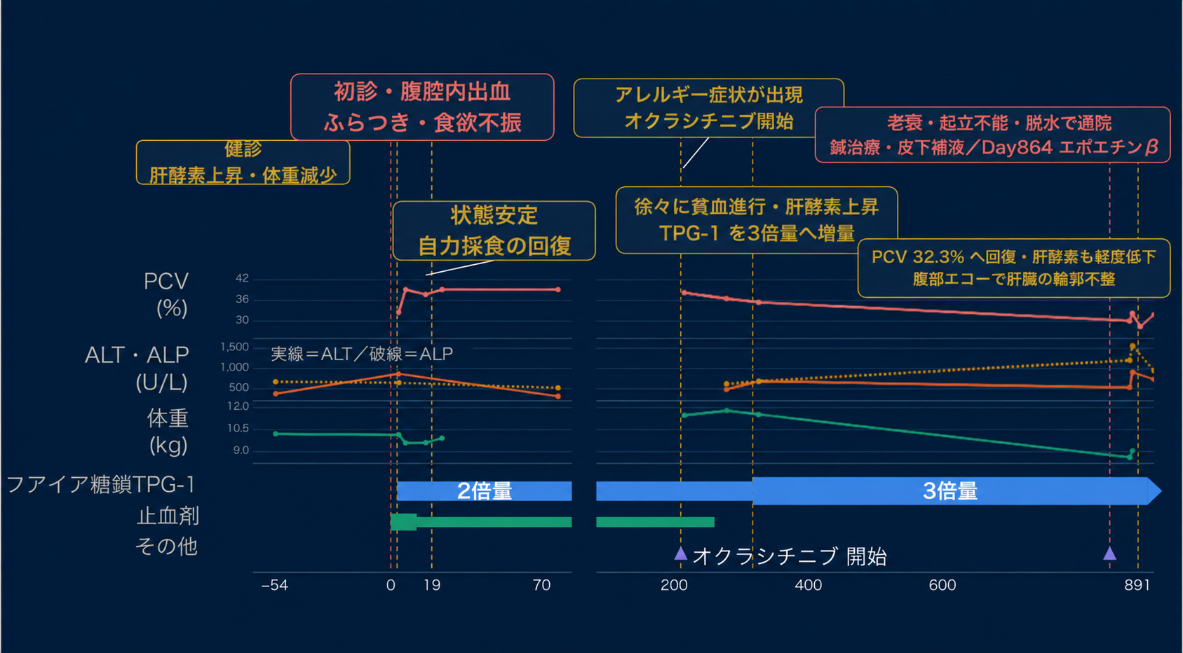 肝臓腫瘤_臨床経過グラフ