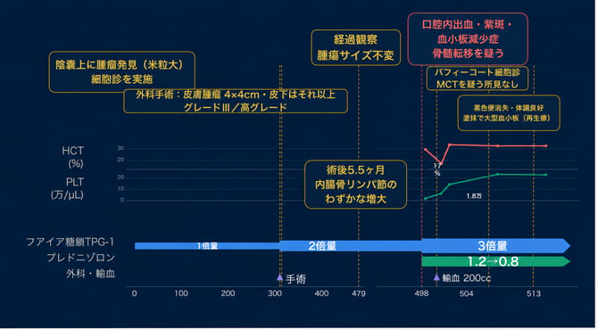 肥満細胞腫_臨床経過グラフ