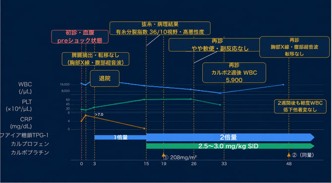 脾臓間質肉腫(未分化肉腫)臨床経過グラフ
