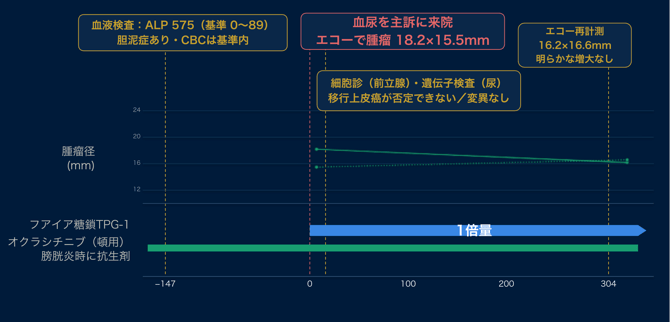膀胱三角部腫瘤_臨床経過グラフ