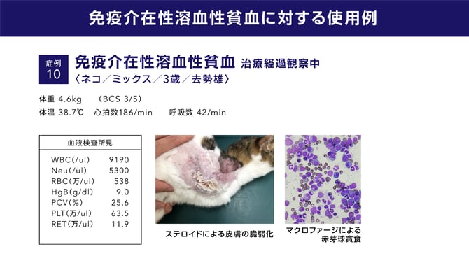 231128_azabu_slide_hisasue_02_dorinken 20