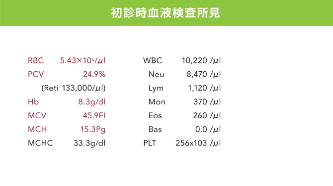 231128_azabu_slide_kojima_--4